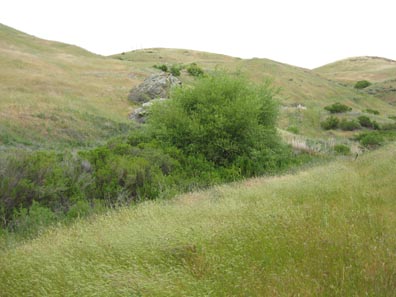 Gilroy
